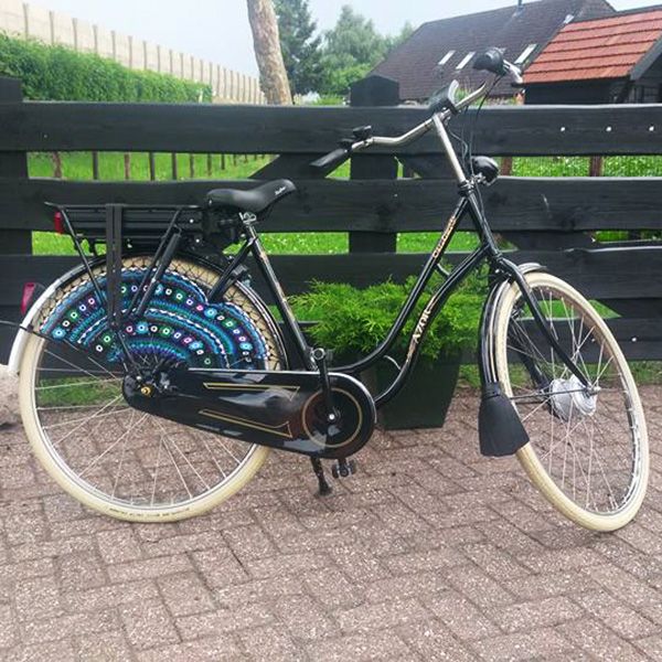 Staphorster Elektrische Fiets